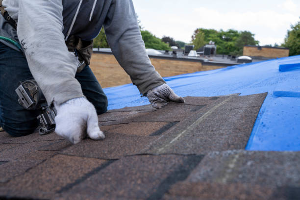 Best Chimney Flashing Repair  in Arnold, MO