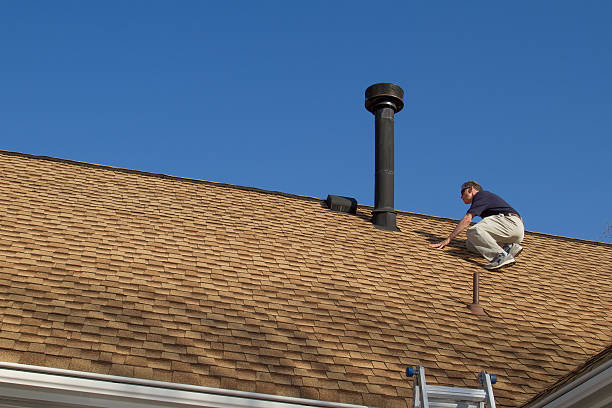 Roof Moss and Algae Removal in Arnold, MO